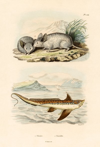 Chimera da French School
